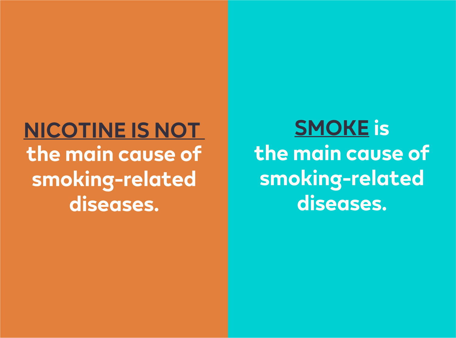 nicotine info banner en